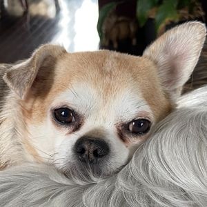 Meet your Posher, Paul